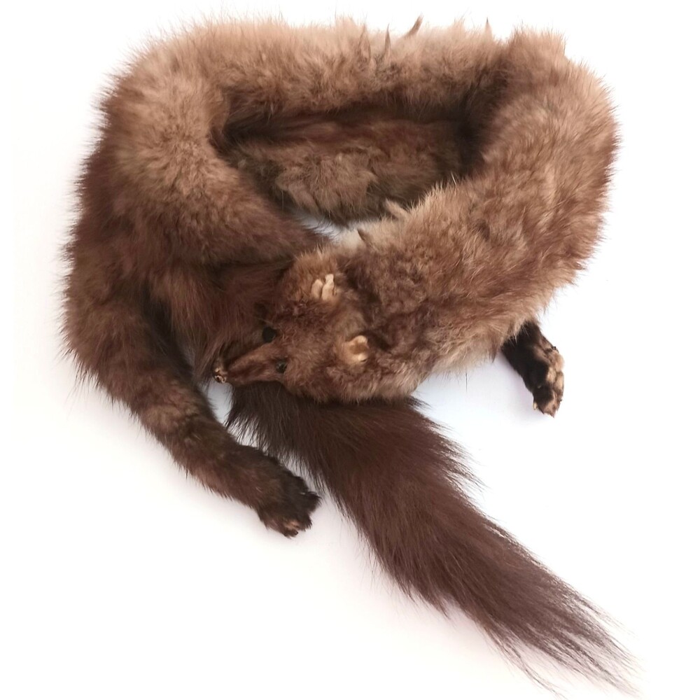 Vtg 50s Stone Marten Fur Neck Scarf Full Body Adjustable Clasp O/S